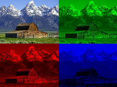 A color image and its channels