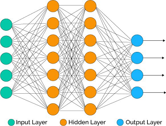 A standard neural network