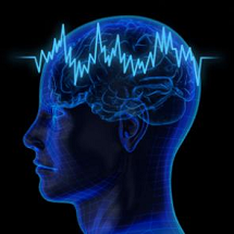 Illustration of brain processing audio wave